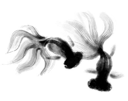 ʤ-01069371001